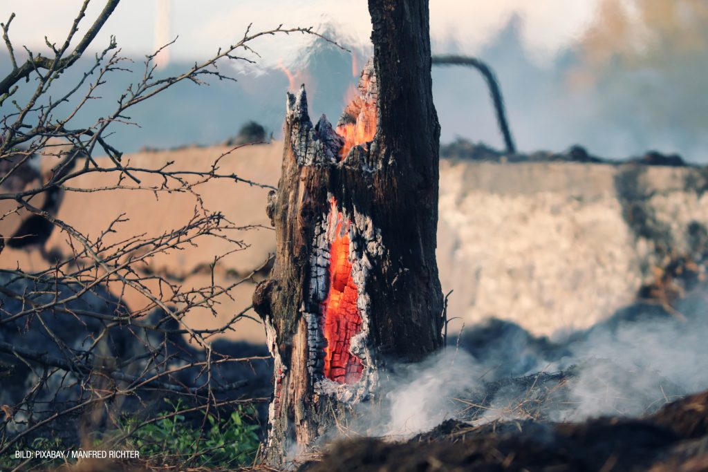 +++ Waldbrandschutz-Verordnung der Bezirkshauptmannschaft Linz-Land in Kraft +++